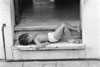 child resting on doorstep